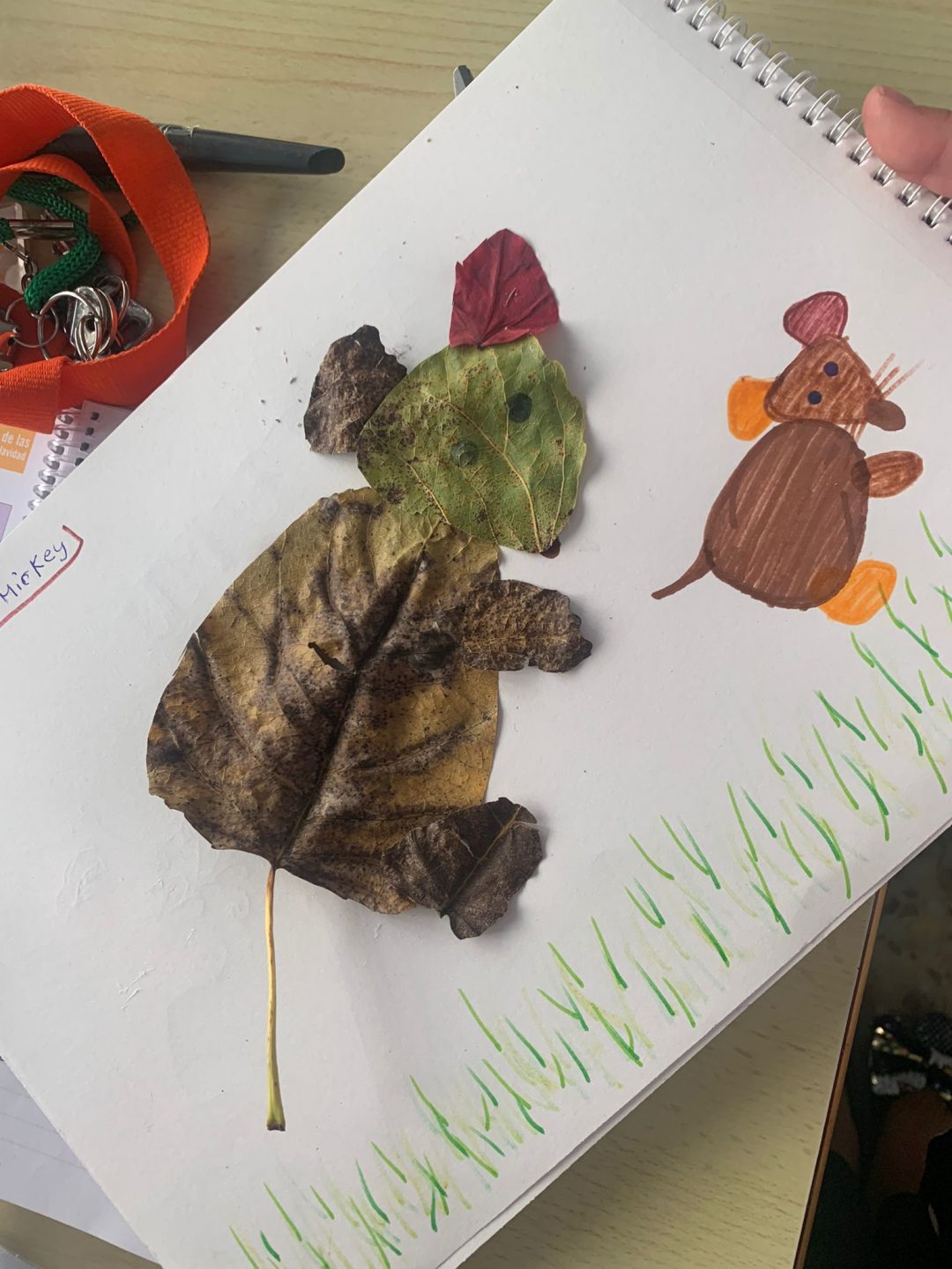 The children in 4rd primary have designed pictures of animal using leaves. There are so wonderful