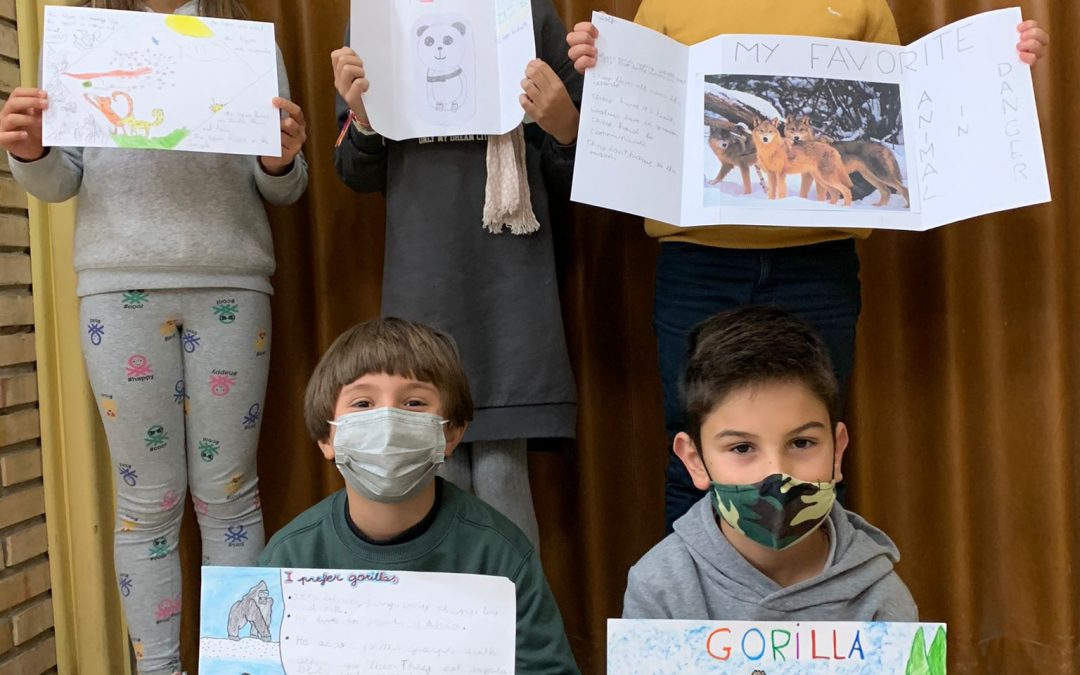Protegido: Third grade students have been learning a lot about endangered animals in English. And you? Which one is your favourite?