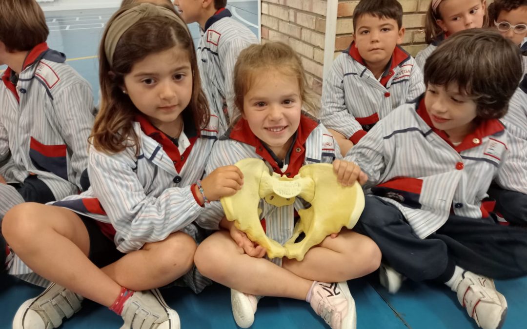 Protegido: 5 Años: Médicos, esta vez de los huesos