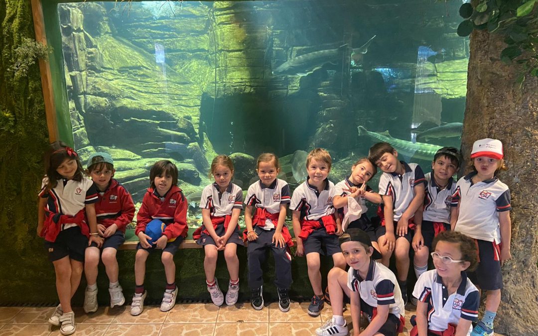 Protegido: 5 años: Excursión al fluviarium